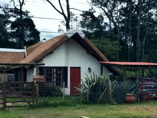 Casa Algarrobo