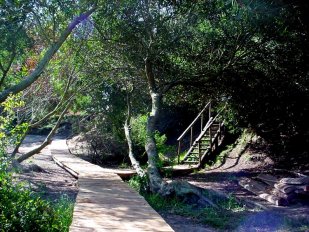 Casa Barrancas de Arachania - Acacia