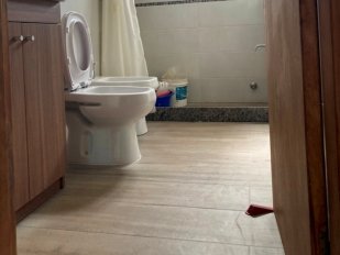 Casa C282