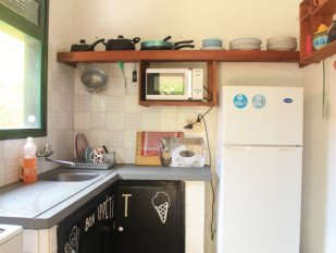 Casa C310