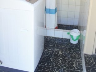 Casa C310