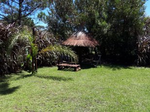 Casa Jauría
