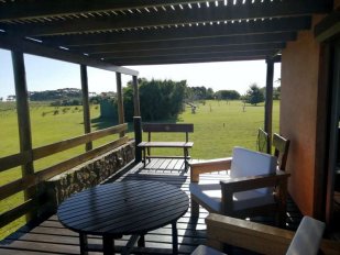 Campo 