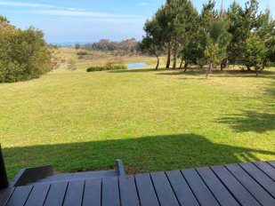 Campo 