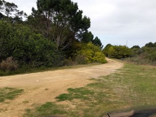Terreno 