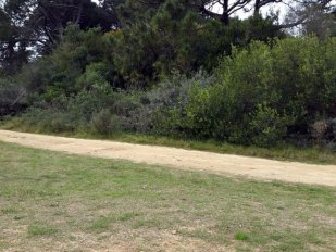 Terreno 