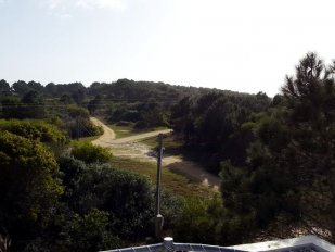 Terreno 